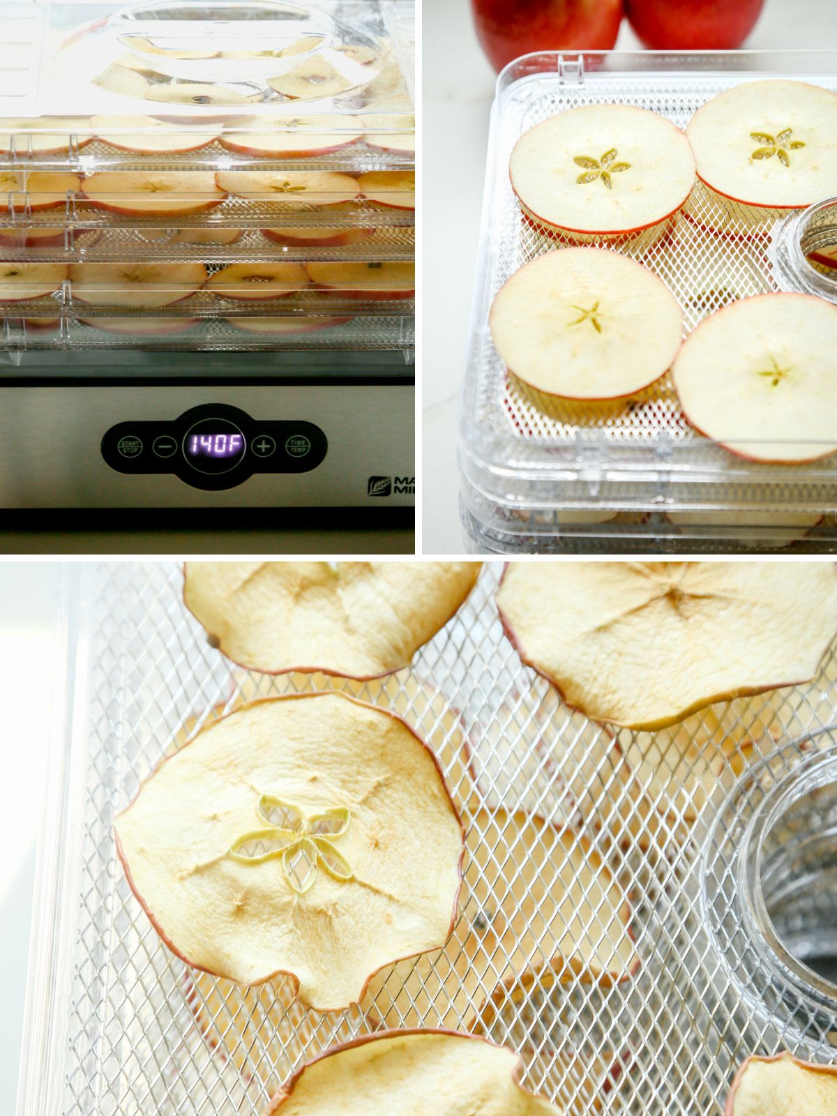 Apples in a Dehydrator