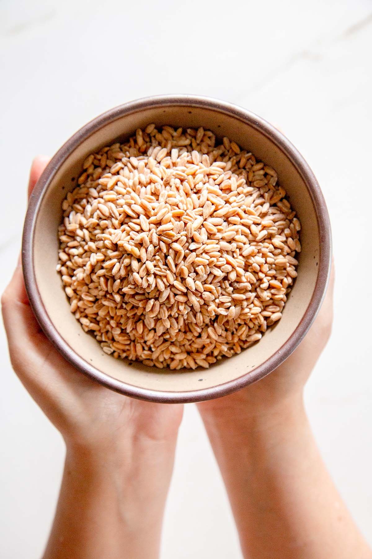 Farro in a bowl