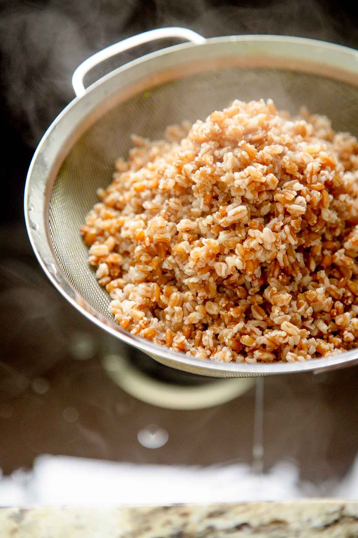 hot cooked Farrow drained over a mesh strainer