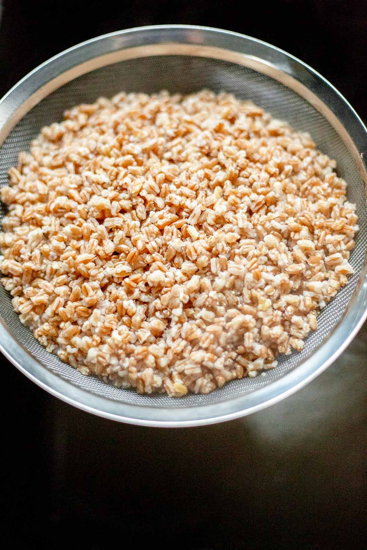 Farro drained in a fine mesh strainer