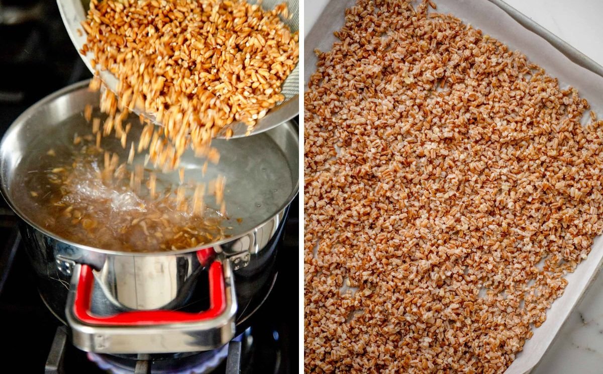 Farro cooking in salted boiled water then cooling on a sheet pan